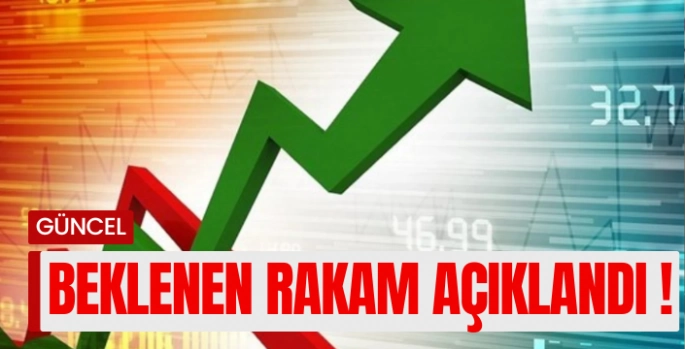 Şubat ayı enflasyon rakamları açıklandı