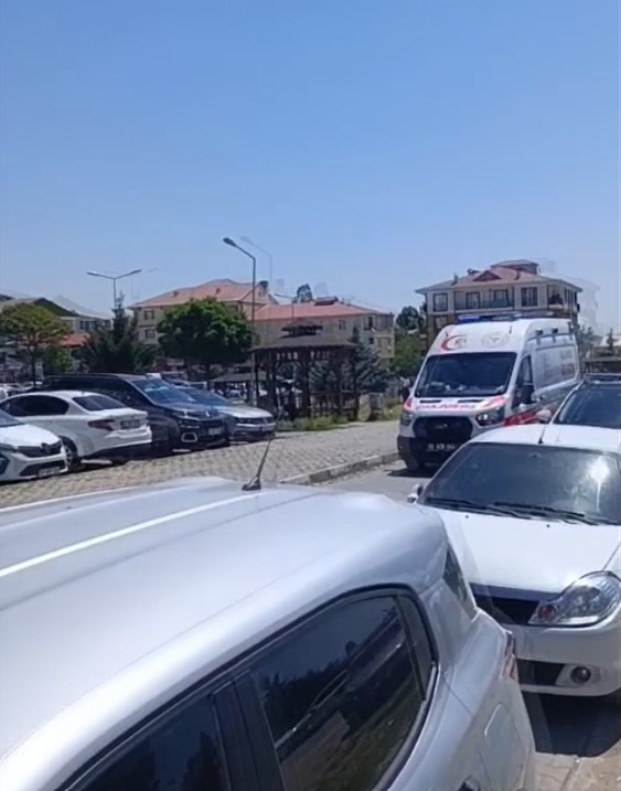 Erciş\