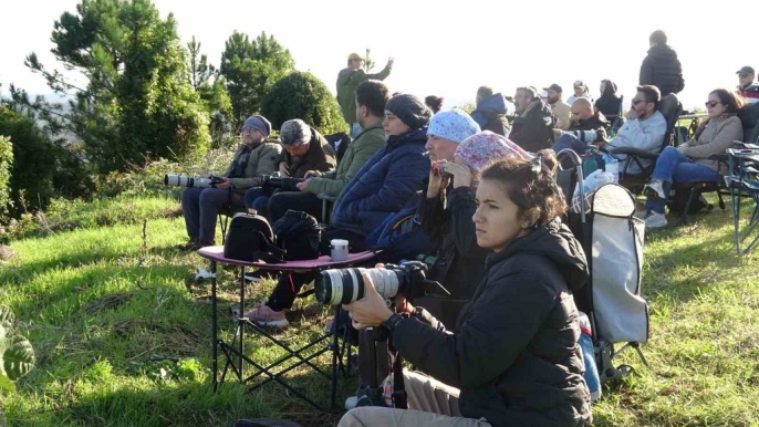 Yırtıcı kuşlar Beykoz Toygartepe\