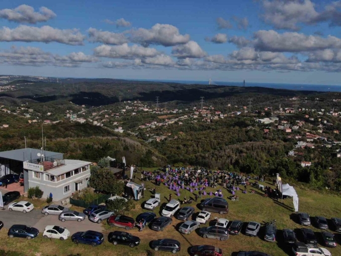 Yırtıcı kuşlar Beykoz Toygartepe\