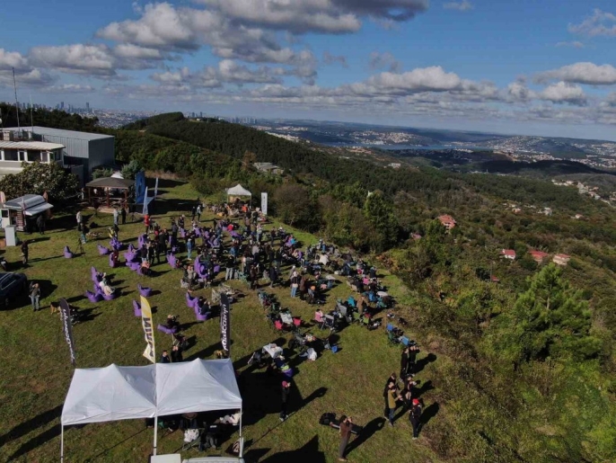 Yırtıcı kuşlar Beykoz Toygartepe\