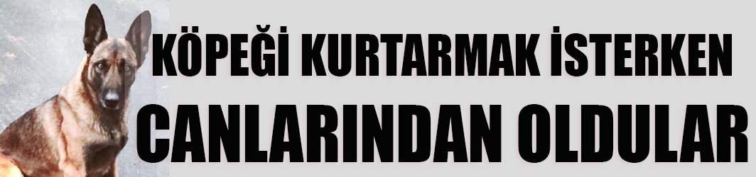 Köpeğe çarpmamak için canlarından oldular!