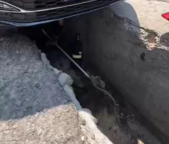Ankarada aracın altına giren yılan çıkarıldı