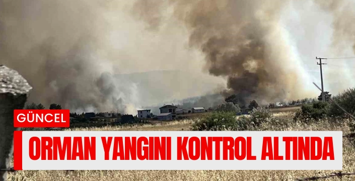 İzmirde orman yangını kontrol altında