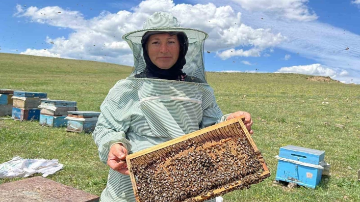 Karsta baba mesleği arıcılığı 21 yıldır eşiyle birlikte yapıyor