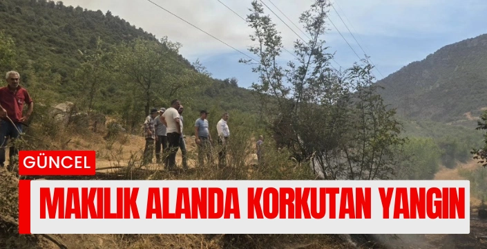 Makilik alanda korkutan yangın