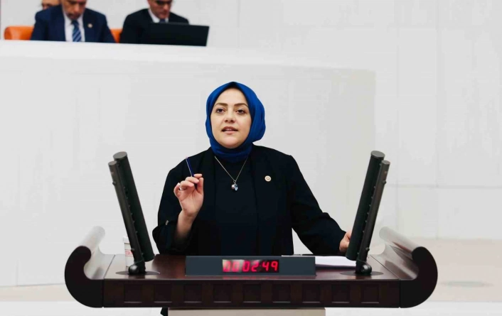 Milletvekili Ün,