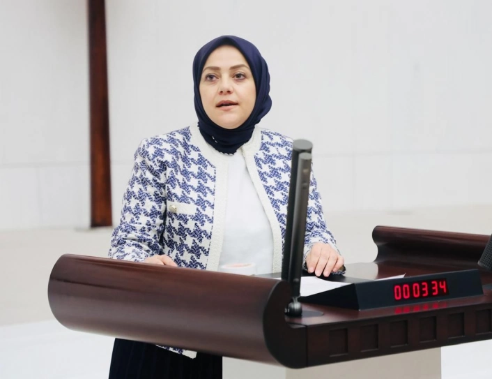 Milletvekili Ün;