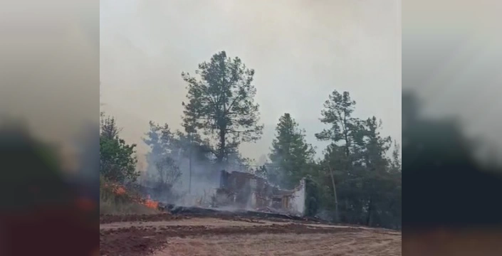 Acıpayam'da orman yangını: Havadan ve karadan müdahale sürüyor