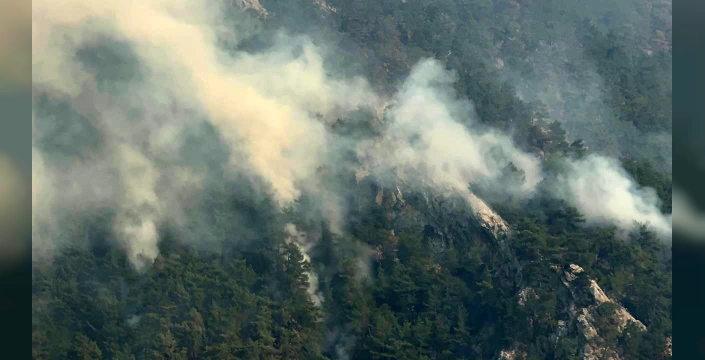 Adana'da orman yangınları kontrol altında: 3 şüpheli tutuklandı