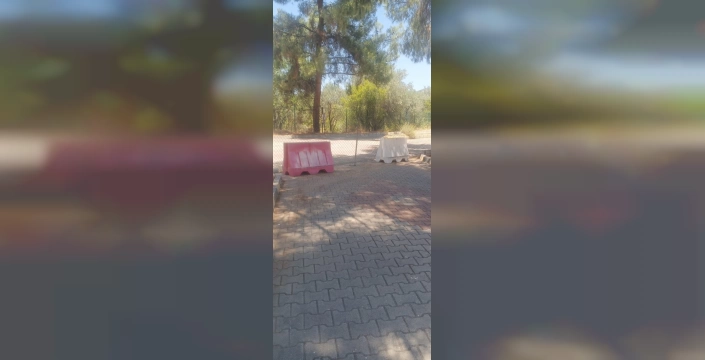 Afrodisias Antik Kenti'nde yangın önlemleri: Kuru otlar temizlendi