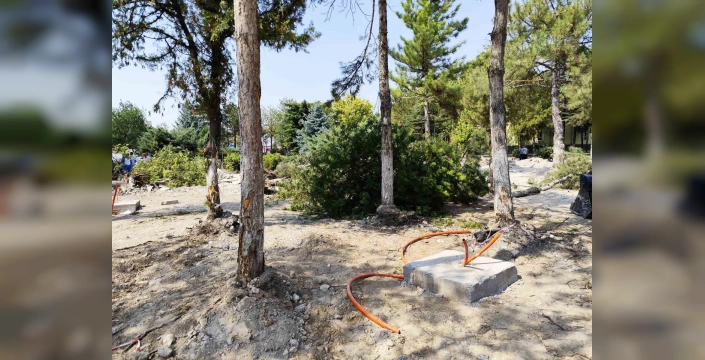 AK Parti'den Çifteler'deki ağaç kesimine tepki: Yeşile saygı nerede?