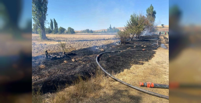 Akören köyünde anız yangını: 5 dönüm arazi ve çok sayıda ağaç zarar gördü