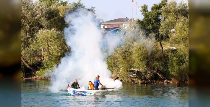 Antalya'da haşereyle mücadele sürüyor: Asya Kaplan Sivrisineği uyarısı