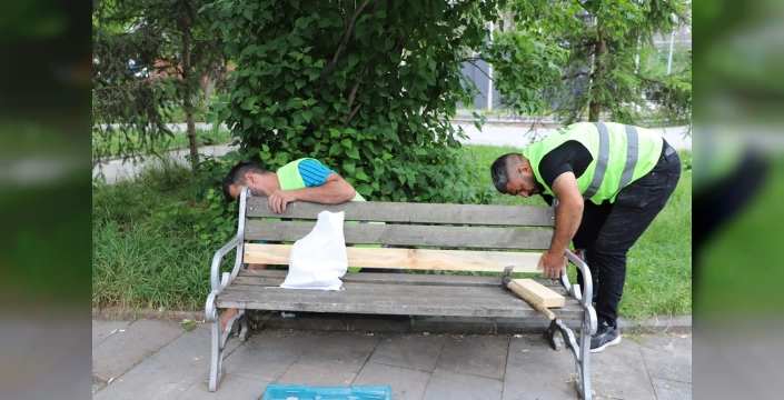 Ardahan'da park ve bahçeler yenileniyor