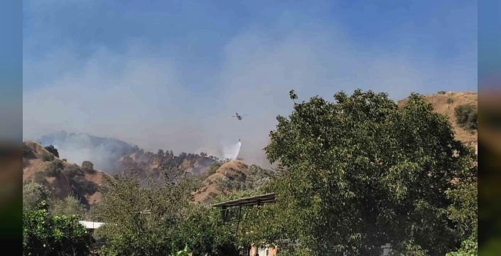 Aydın'da orman yangını: Havadan ve karadan müdahale sürüyor