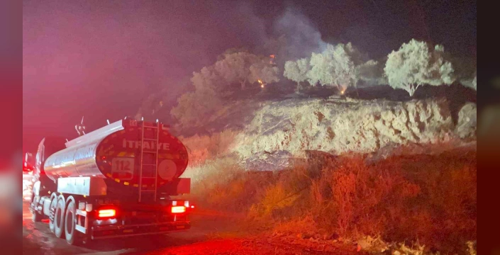 Aydın'da zeytinlik alan yangını: İtfaiye eri yaralandı