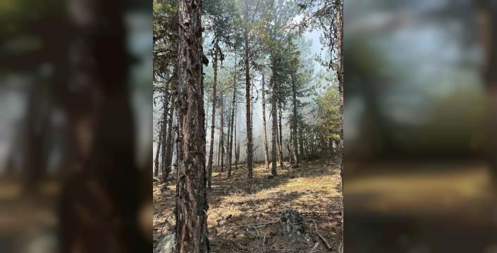 Bolu'da yıldırım düşmesi: iki orman yangını söndürüldü