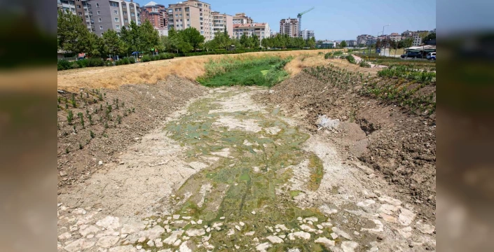 Bursa'da Ayvalı Dere temizleniyor: Daha yaşanabilir bir çevre için çalışma başlatıldı