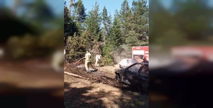 Çatalzeytin'de orman yangını tehlikesi atlatıldı