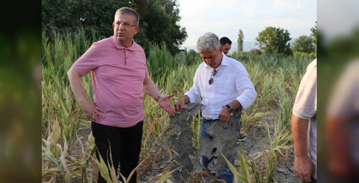 Denizli'de DESKİ'ye 1,6 milyon TL ceza: Kirli sular nedeniyle çiftçilerin mahsulü kurudu