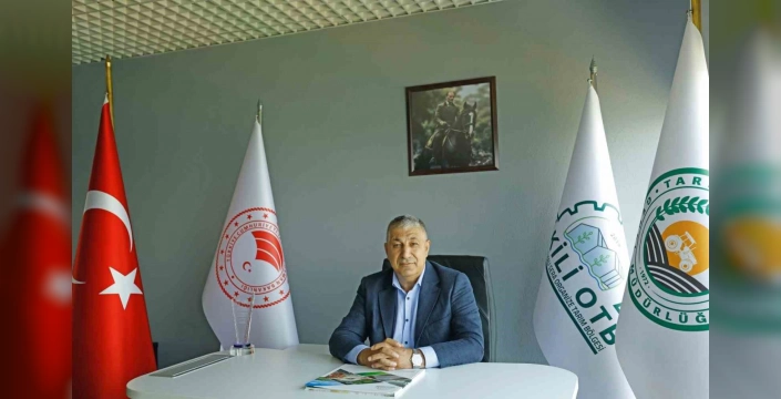 Dikili Jeotermal Sera Projesi: Dünya Bankası Desteği 65 Milyon Dolara Çıkarıldı