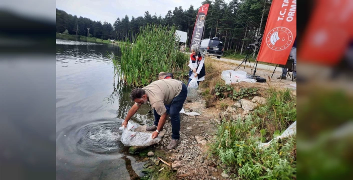 Düzce'de 100 bin pullu sazan yavrusu suya bırakıldı
