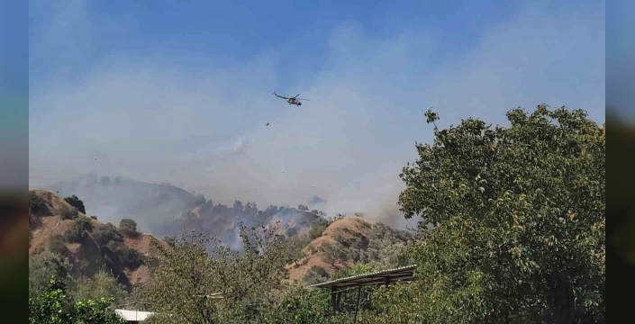 Efeler'de zirai alan yangını: Ekipler müdahale ediyor
