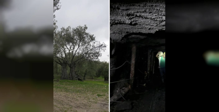 Enerji Sektöründe Devrim: Yeni Yasa İle İzin Süreçleri Hızlanıyor