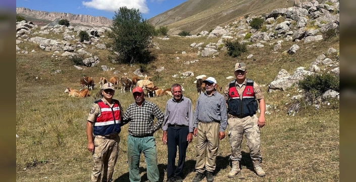 Erzincan'da kayıp 17 büyükbaş hayvan bulundu