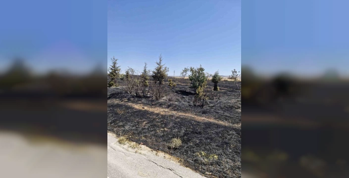 Eskişehir'de yangın tehlikesi atlatıldı