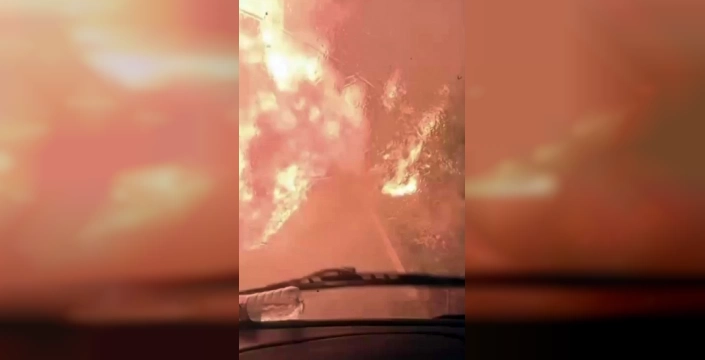 Geyve'deki orman yangını: ölüm kalım mücadelesi