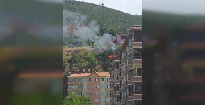 Gümüşhane'de sera yangını: Maddi hasar meydana geldi