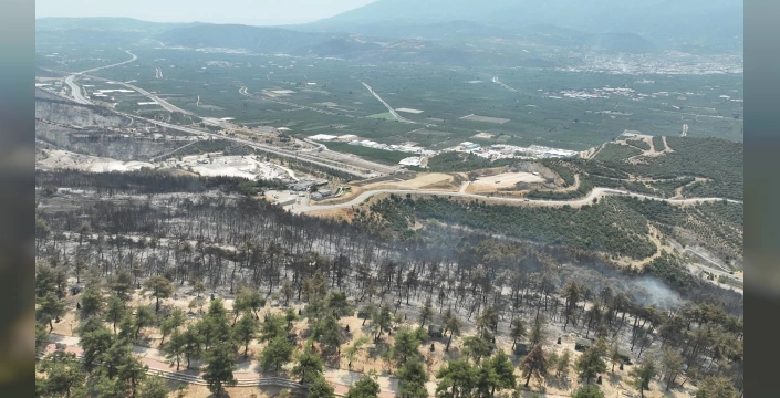 Gürsu'da orman yangını: Yeşil alanlar küle döndü