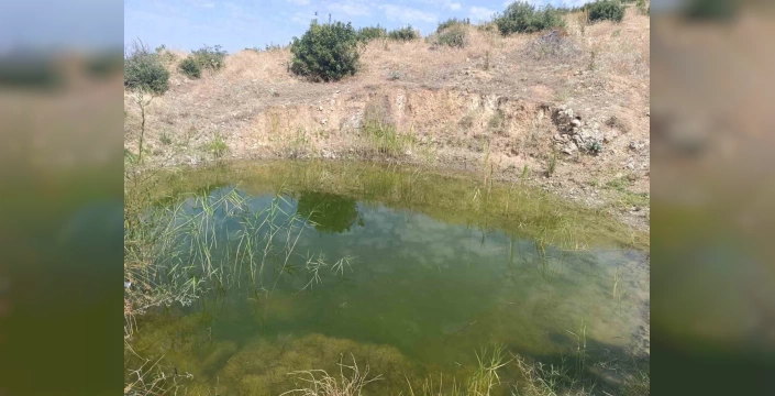 Hayırseverler, Buldan'da yaban hayatı için gölet yapıyor