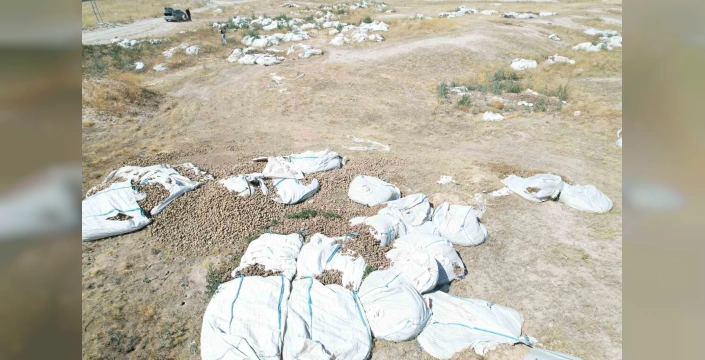 Kapadokya'da Çevre Kirliliği: Çürük Patatesler Doğaya Dökülüyor