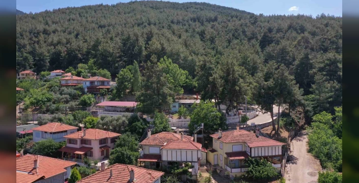 Karacasu'da orman yangını riski arttı: Belediye vatandaşları uyardı