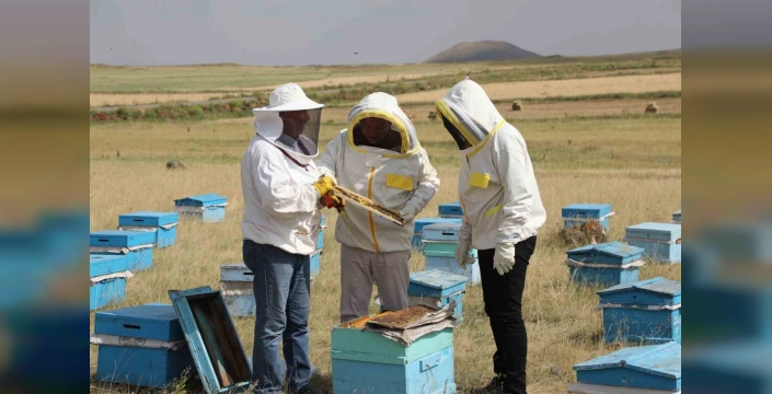 Kars'ta 2025 için 1800 ton bal rekoltesi bekleniyor