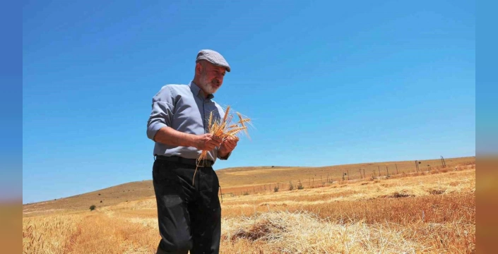 Kocasinan Belediyesi'nin projesi: Genç çiftçi, 500 dekarlık alanda buğday hasadı yaptı