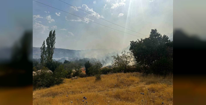 Lice'de yangın: Yaklaşık 350 dönüm kül oldu