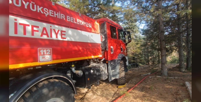 Malatya'da orman yangınları kontrol altına alındı