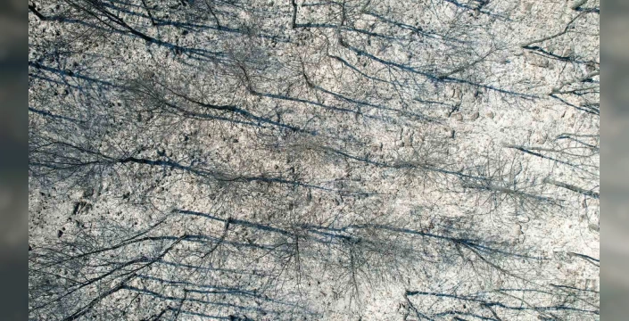 Manisa'da orman yangını kontrol altına alındı