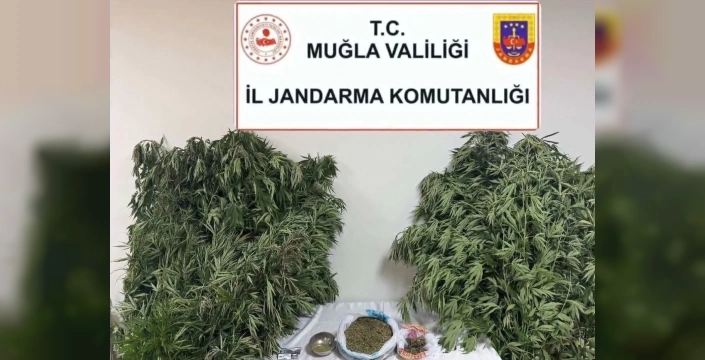 Muğla'da uyuşturucu operasyonu: 29 yaşındaki şüpheli yakalandı