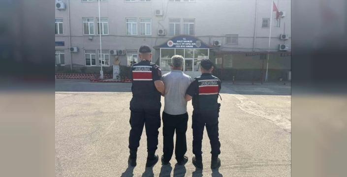 Nazilli'de uyuşturucu operasyonu: 71 kök kenevir ele geçirildi