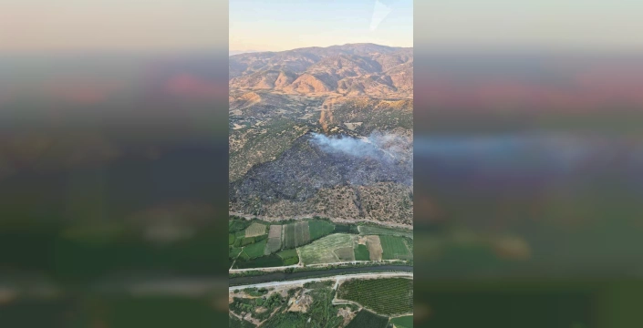 Nazilli'de yangın: Makilik ve zirai alanlar zarar gördü