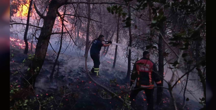 Sakarya'da 4 günde 202 müdahale: 137'si anız yangını