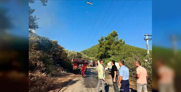 Sarıgerme'de orman yangını kontrol altına alındı