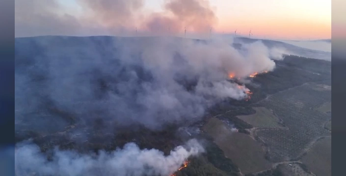 Şarköy'de orman yangını: Alevler yerleşim alanlarına yaklaştı