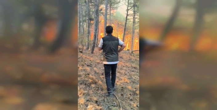 Seyitgazi'de orman yangını: İş makineleri alevler arasında kaldı