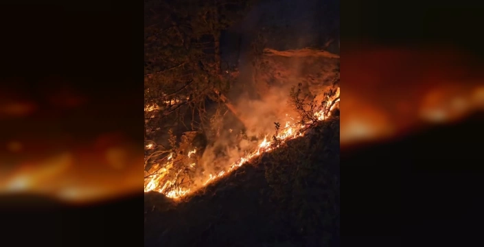 Seyitgazi'nde orman yangını sürüyor: Afyonkarahisar'a sıçrama riski